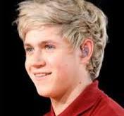 niall-horan-singer-05122013